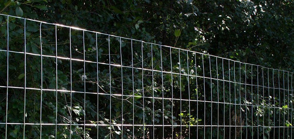 Welded wire mesh fencing